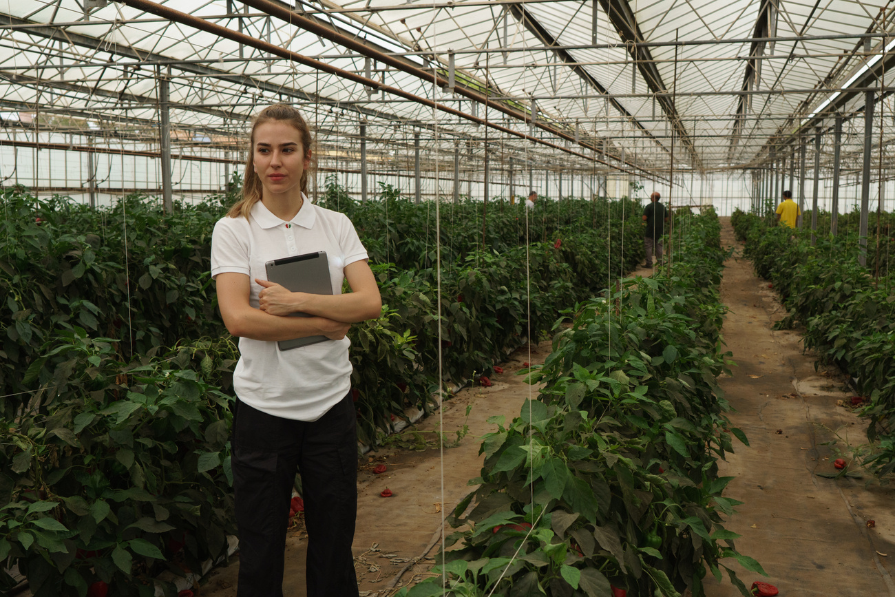 Regenerative Farming Woman in an Indoor Farm